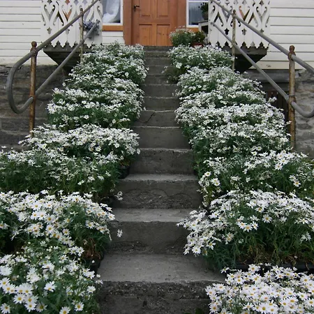 Homestay Overvoll Farm Stranda (More og Romsdal)