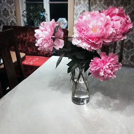 欧沃沃尔农场民宿 * 斯特兰达