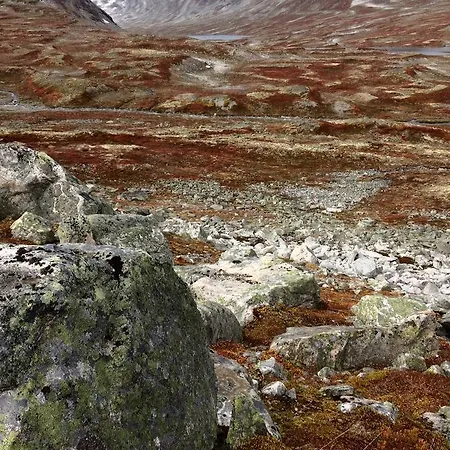 Overvoll Farm Accommodatie bij particulieren *