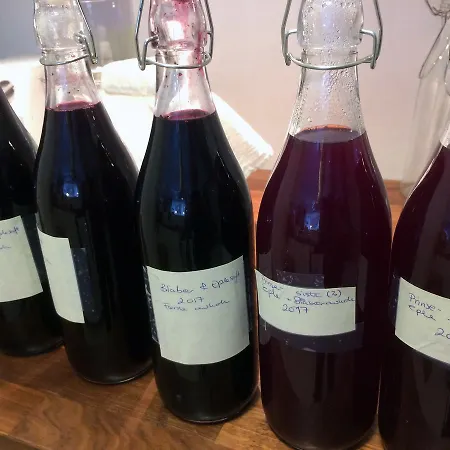 Overvoll Farm Accommodatie bij particulieren *