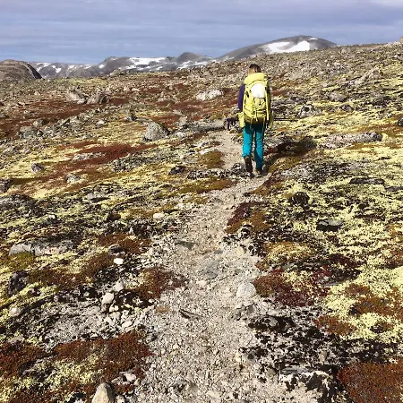 Overvoll Farm Accommodatie bij particulieren *