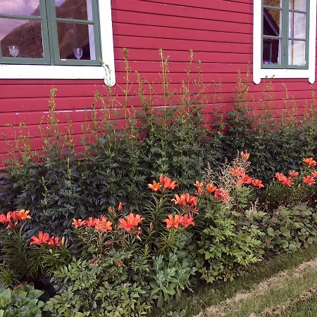 Overvoll Farm Accommodatie bij particulieren