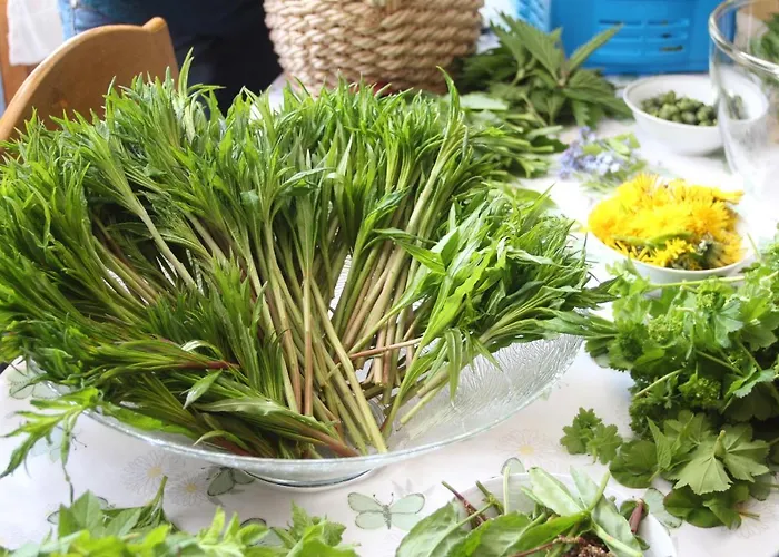 Overvoll Farm Alloggio in famiglia