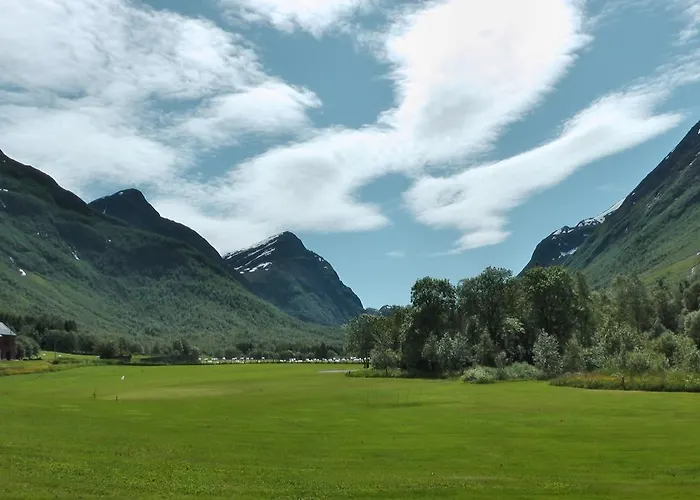 홈스테이 오버볼 팜 *