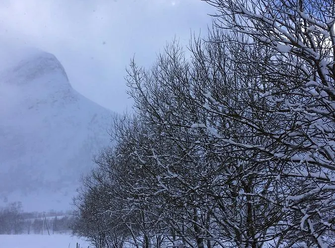 Overvoll Farm * Stranda (More og Romsdal)