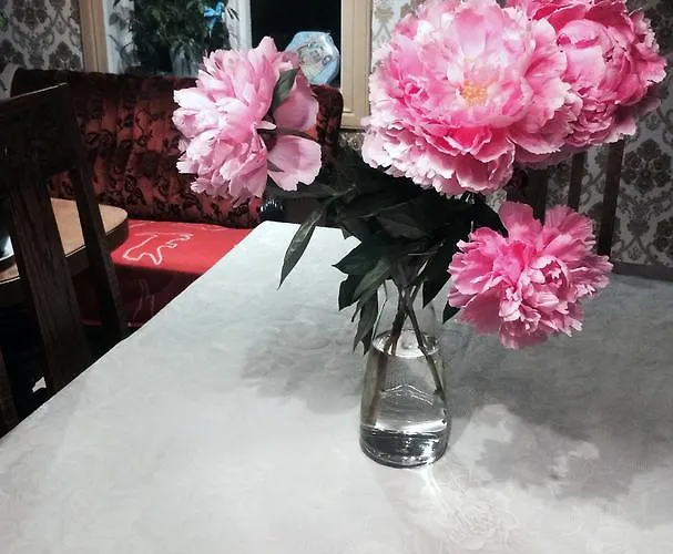 오버볼 팜 * 스트란다