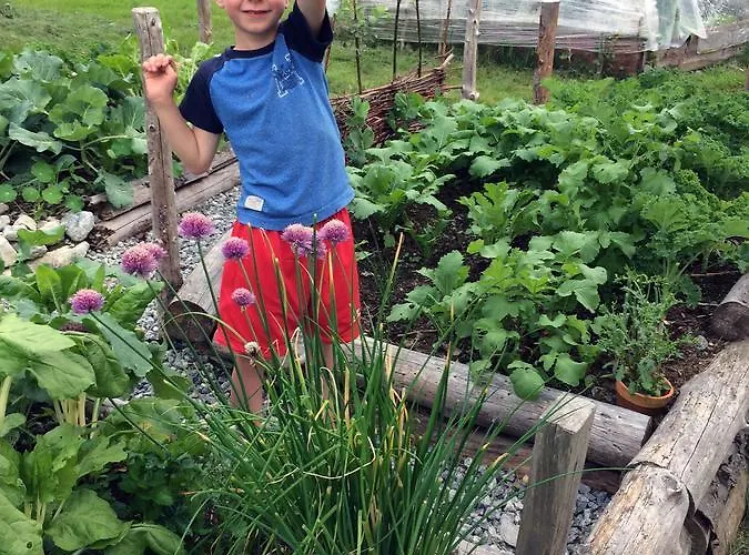 홈스테이 오버볼 팜 스트란다