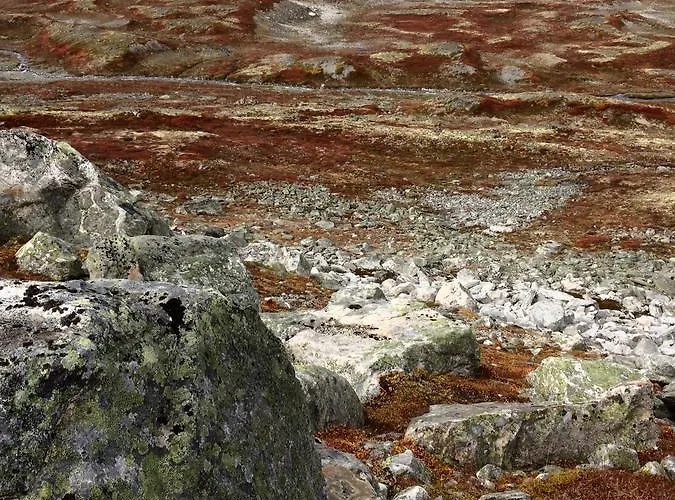 Overvoll Farm Alloggio in famiglia *