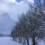 오버볼 팜 * 스트란다