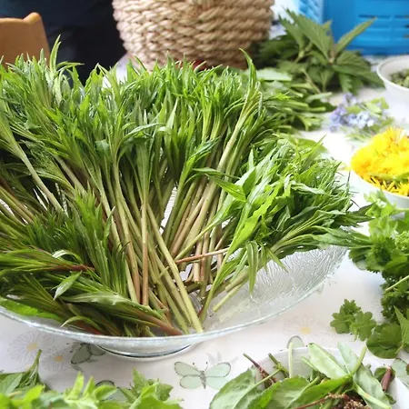 Overvoll Farm Pansiyon