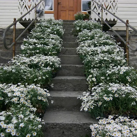 Pansiyon Overvoll Farm Stranda (More og Romsdal)